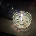 Jeju Island Ocean Aromatherapy Candle