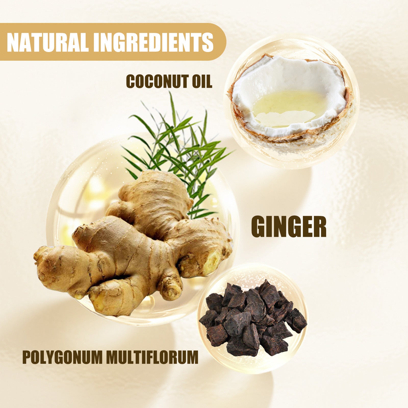 Ginger vitality boost Hair Nourishing Shampoo