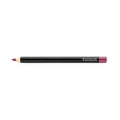 Danyel Lip Liner - Passion